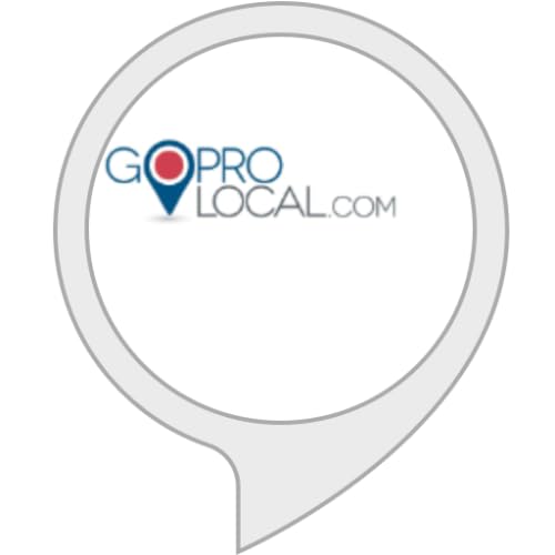 2024 Guide: Maximizing Local Online Marketing with Go Pro