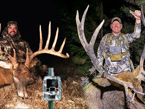 A Comprehensive Guide to Deploying Summer Trail Cameras: Tips, Benefits, and Recommendations