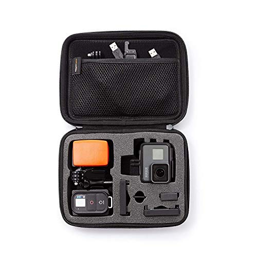 Amazon Basics Small Carrying Case for GoPro And Accessories - A Comprehensive Review and Comparison 2024