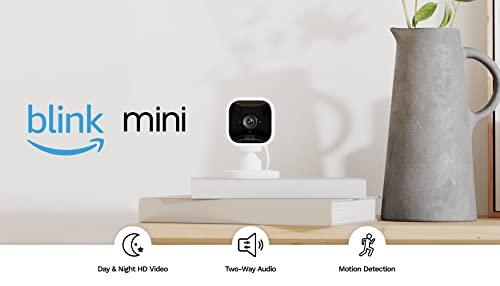 Blink Mini Indoor Security Camera 2024 Review: Is It Worth It?