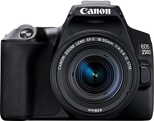 Canon EOS 250D (Rebel SL3) DSLR Camera: Review, Price, and Pros and Cons in 2023