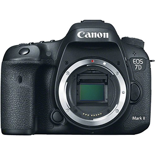 Canon EOS 7D Mark II: A Comprehensive Review of the 20.2MP HD 1080p DSLR Camera Body (2023)