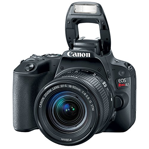 Canon EOS Rebel SL2 DSLR Camera: A Comprehensive Review and Buying Guide in 2023