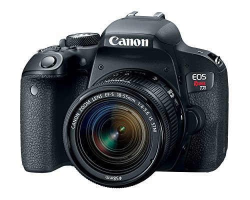 Canon EOS Rebel T7i US 24.2 Digital SLR Camera: A Comprehensive Review in 2023