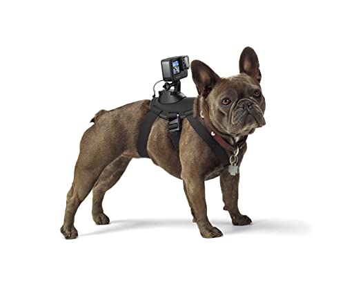 Is the GoPro Fetch Dog Harness Worth it? A 2023 Review and Comparison