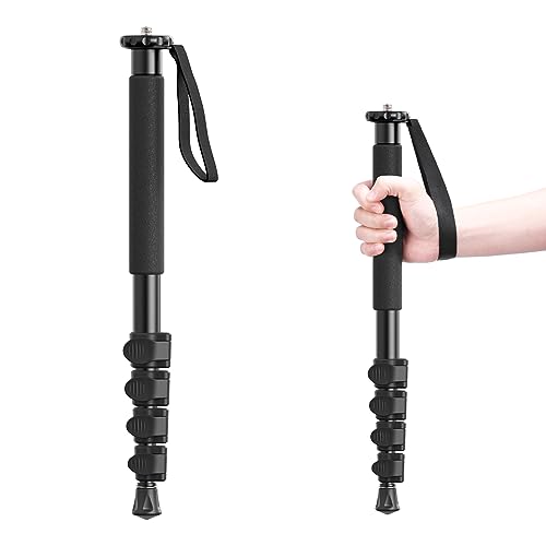 Top 5 Lightweight Camera Monopods 2024: ULANZI TB12 Features & Compatibility