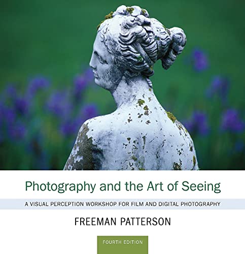 Top 5 Photography Workshops: Discover the Art of Visual Perception